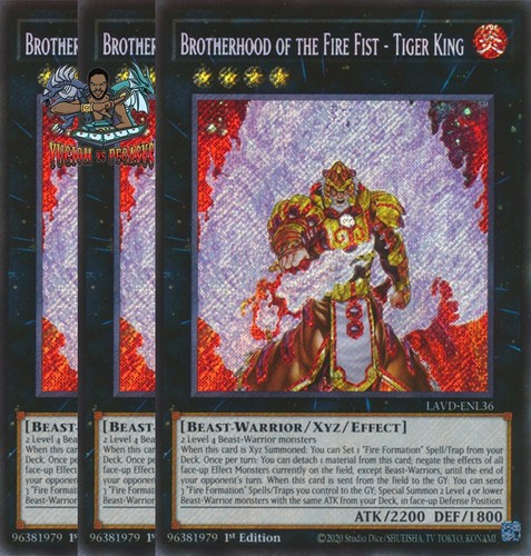 Yugioh confraternita del - 3x,